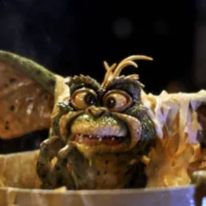 bubulacastagne