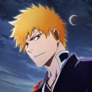 bleach_tv1